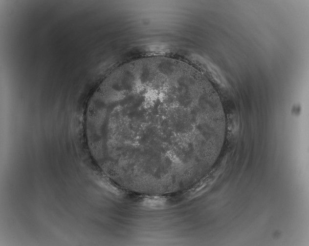 X0000097990369200803241347
