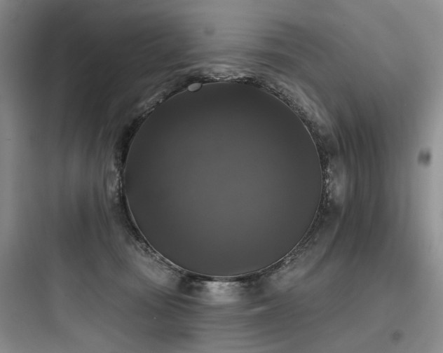 X0000097990371200803241347