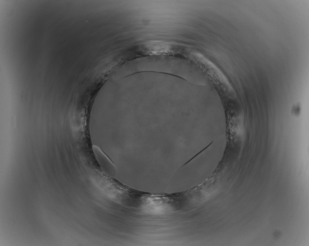 X0000097990372200803241347