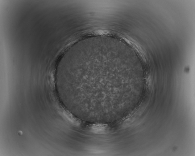 X0000097990373200803241347