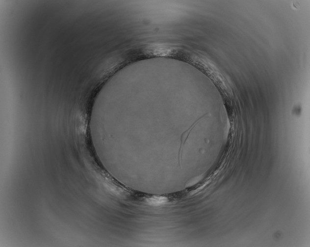 X0000097990374200803241347