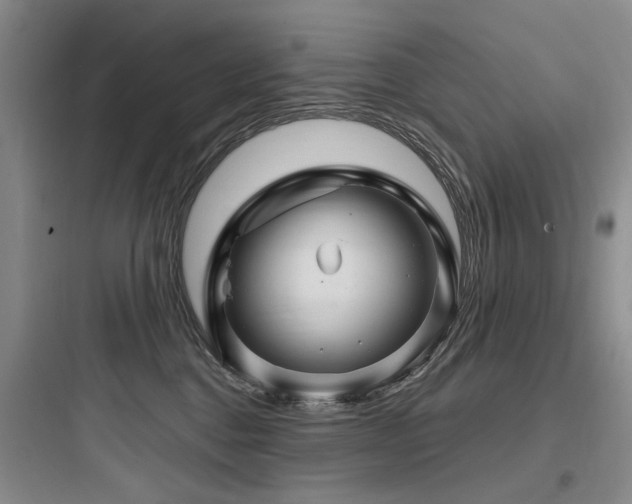 X0000097990376200803241347