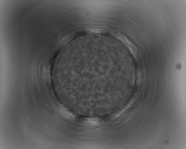 X0000097990377200803241347