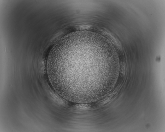 X0000097990378200803241347