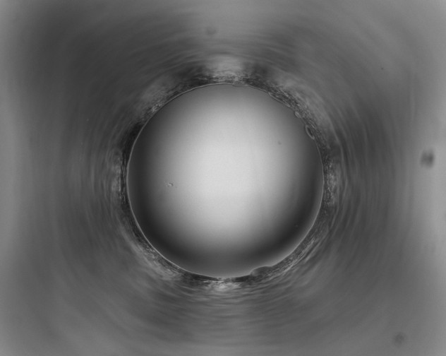 X0000097990379200803241347