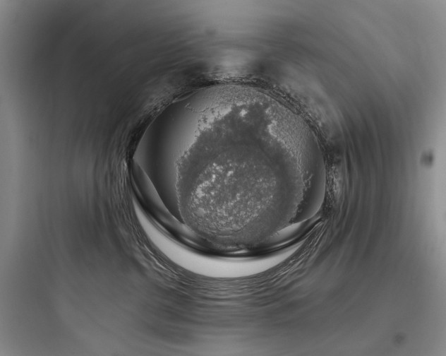 X0000097990380200803241347