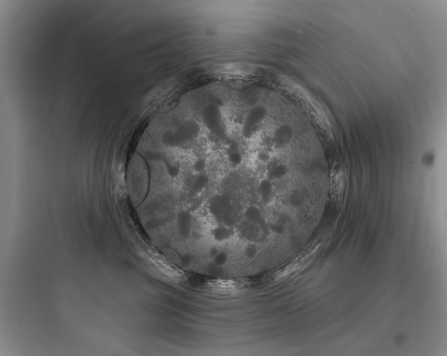 X0000097990381200803241347