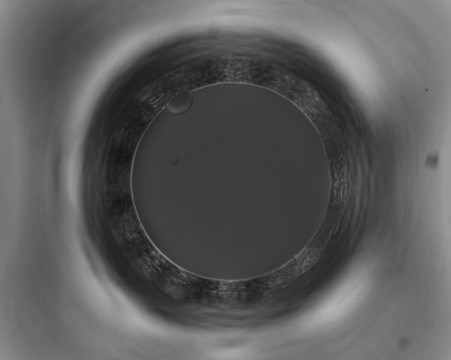 X0000097990383200803241347