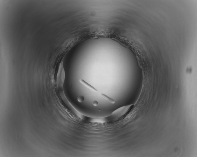 X0000097990384200803241347