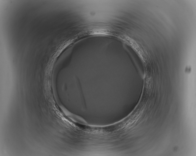 X0000097990385200803241346