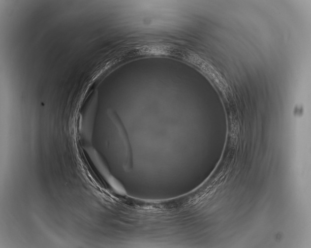 X0000097990386200803241346