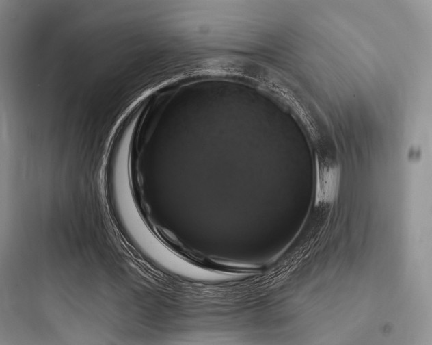 X0000097990387200803241346
