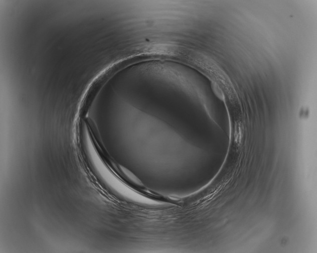 X0000097990388200803241346