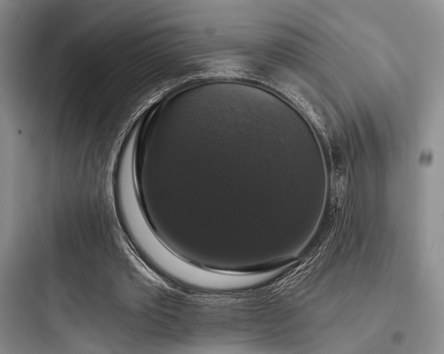 X0000097990389200803241346