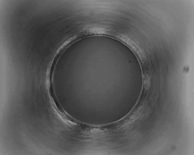 X0000097990390200803241346