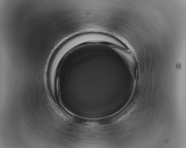 X0000097990391200803241346