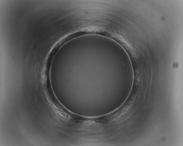 X0000097990392200803241346