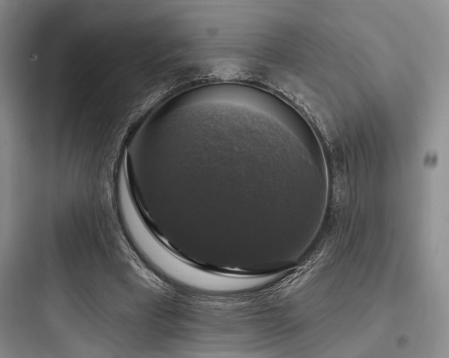X0000097990393200803241346