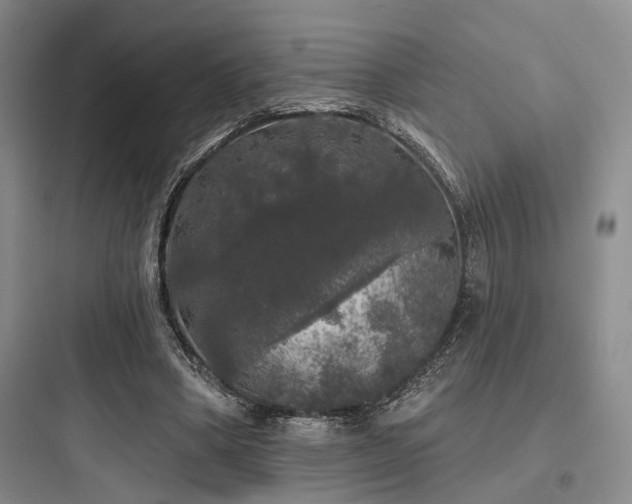X0000097990394200803241346