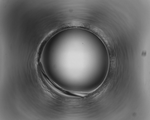 X0000097990395200803241346