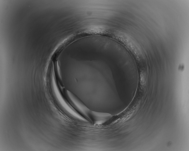 X0000097990396200803241346