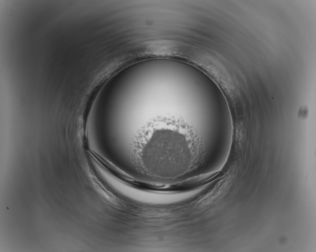 X0000097990397200803241346