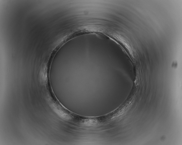 X0000097990398200803241346