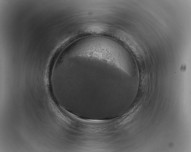 X0000097990399200803241346