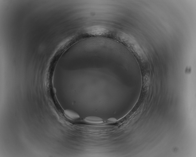 X0000097990400200803241346