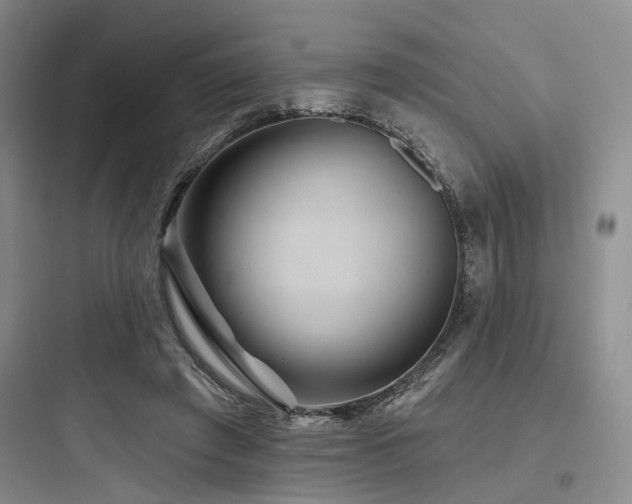 X0000097990401200803241346
