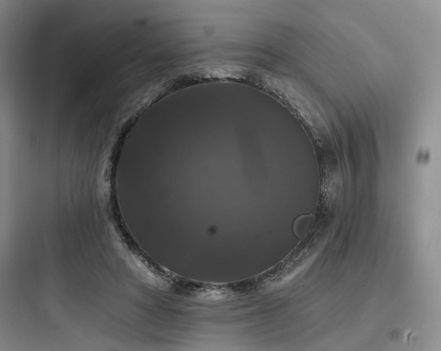X0000097990402200803241346