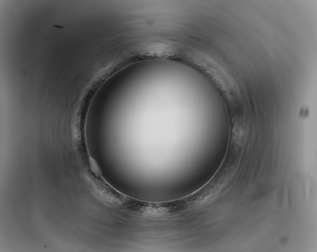 X0000097990403200803241346