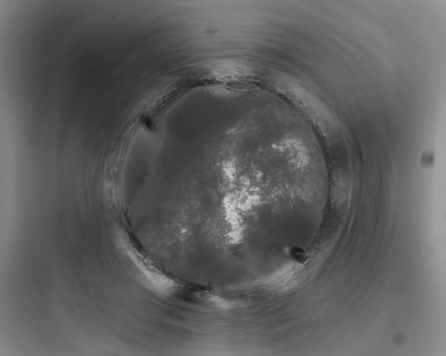 X0000097990405200803241346