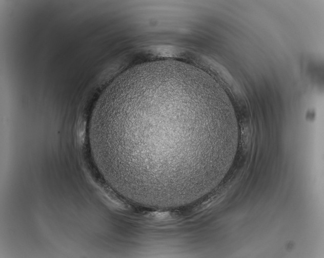 X0000097990406200803241346