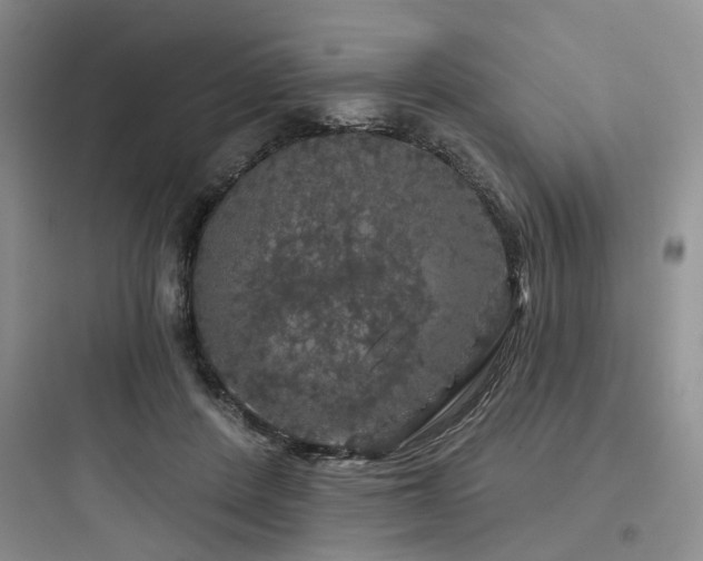 X0000097990408200803241346