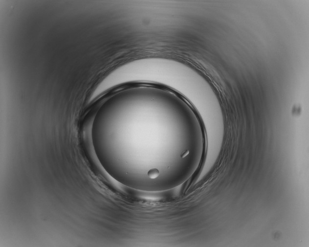 X0000097990409200803241346