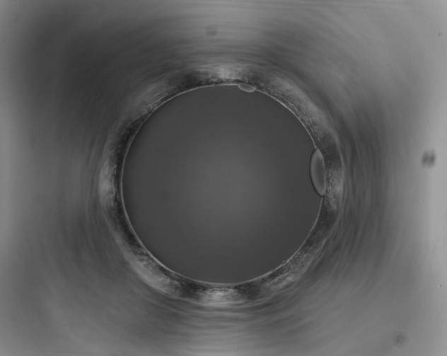 X0000097990410200803241346