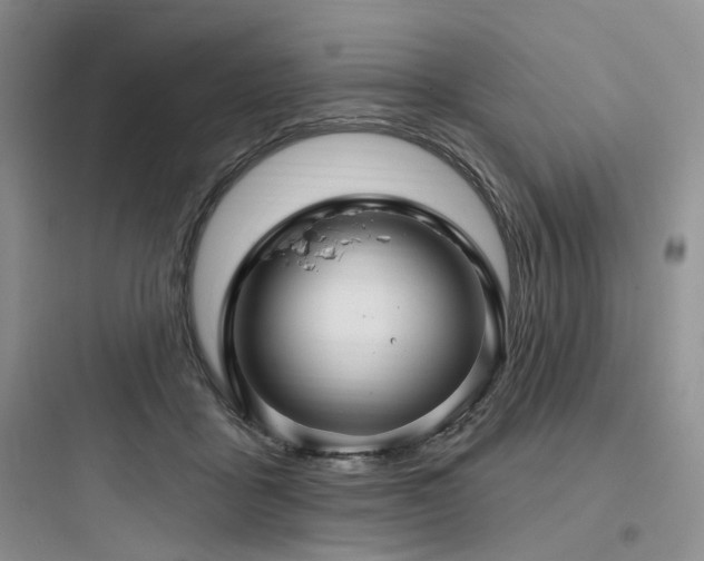 X0000097990411200803241346