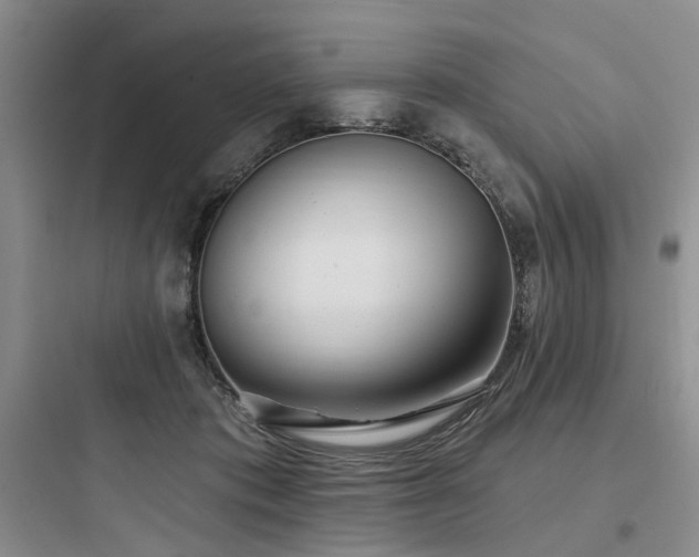X0000097990413200803241346