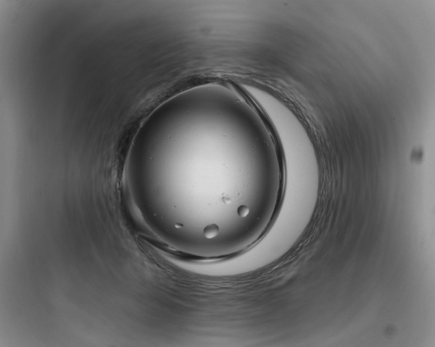 X0000097990415200803241346