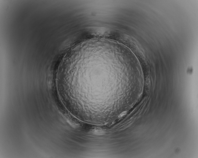 X0000097990416200803241346