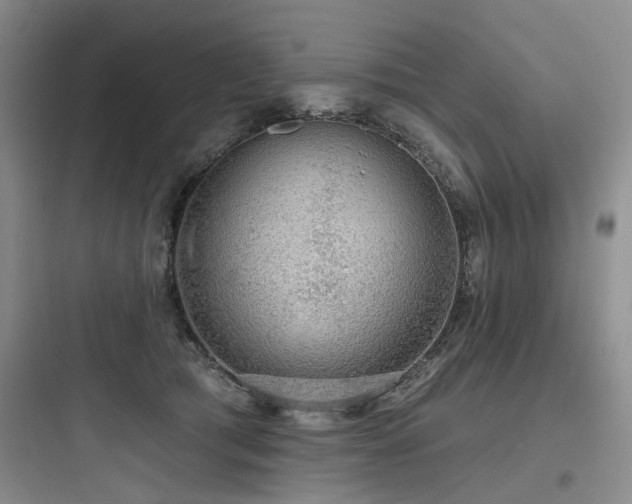 X0000097990417200803241345