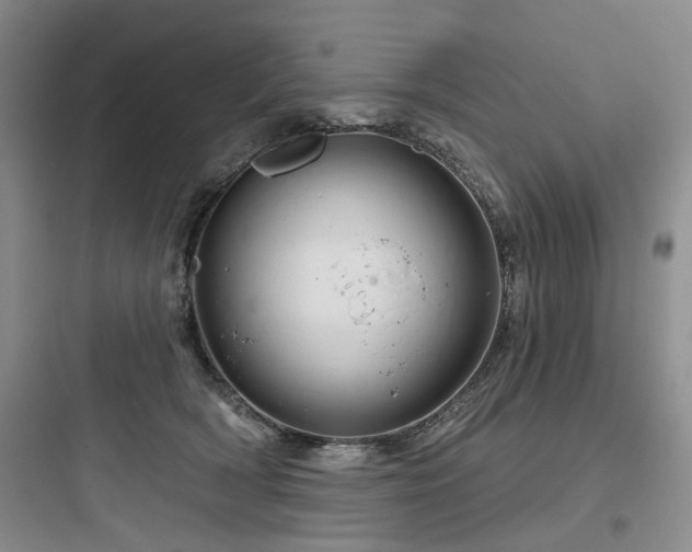 X0000097990418200803241345