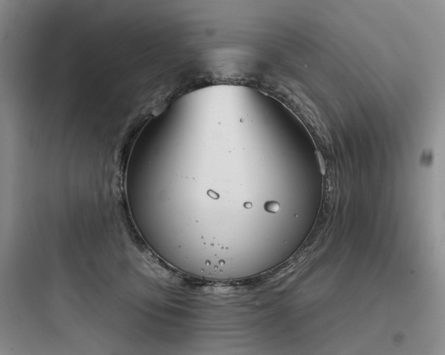 X0000097990419200803241345