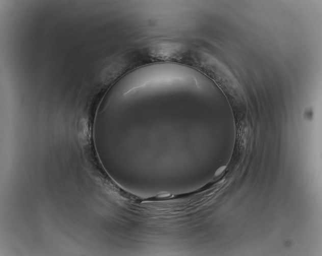 X0000097990420200803241345