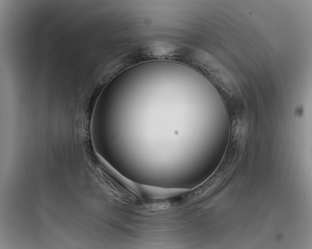 X0000097990421200803241345
