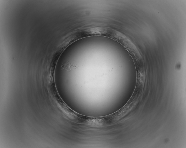X0000097990422200803241345