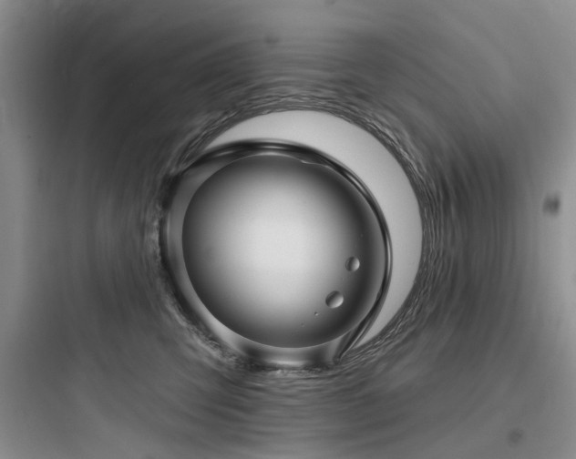 X0000097990423200803241345