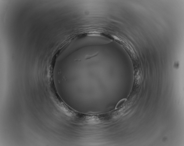 X0000097990424200803241345