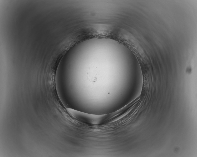 X0000097990425200803241345